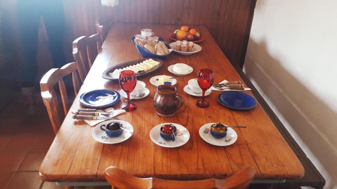 Lago Da Garca Guesthouse São Pedro do Sul Zewnętrze zdjęcie