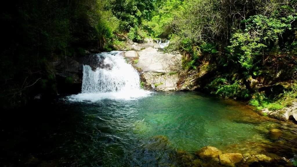 Lago Da Garca Guesthouse São Pedro do Sul Zewnętrze zdjęcie