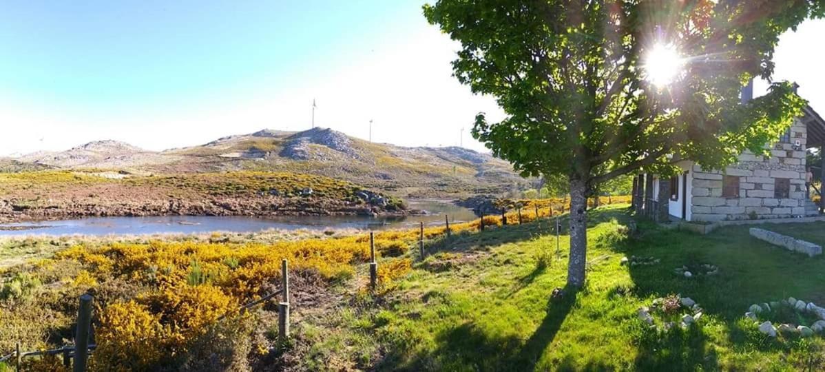 Lago Da Garca Guesthouse São Pedro do Sul Zewnętrze zdjęcie