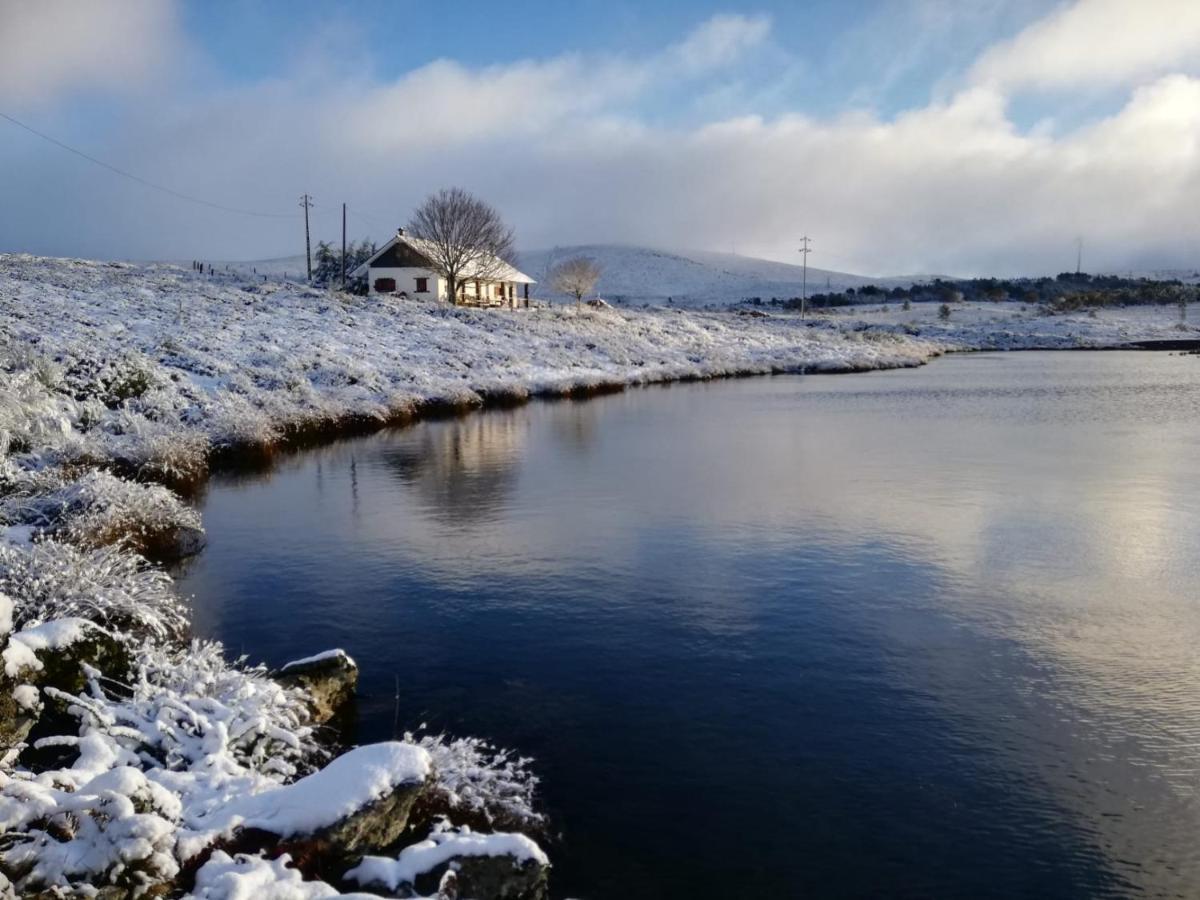 Lago Da Garca Guesthouse São Pedro do Sul Zewnętrze zdjęcie