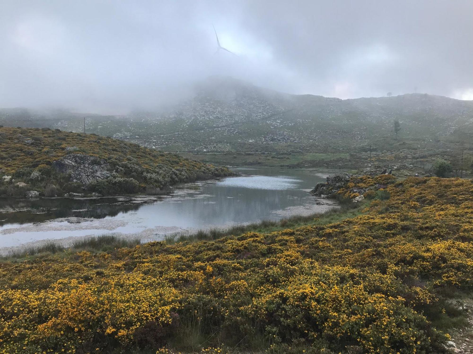 Lago Da Garca Guesthouse São Pedro do Sul Zewnętrze zdjęcie