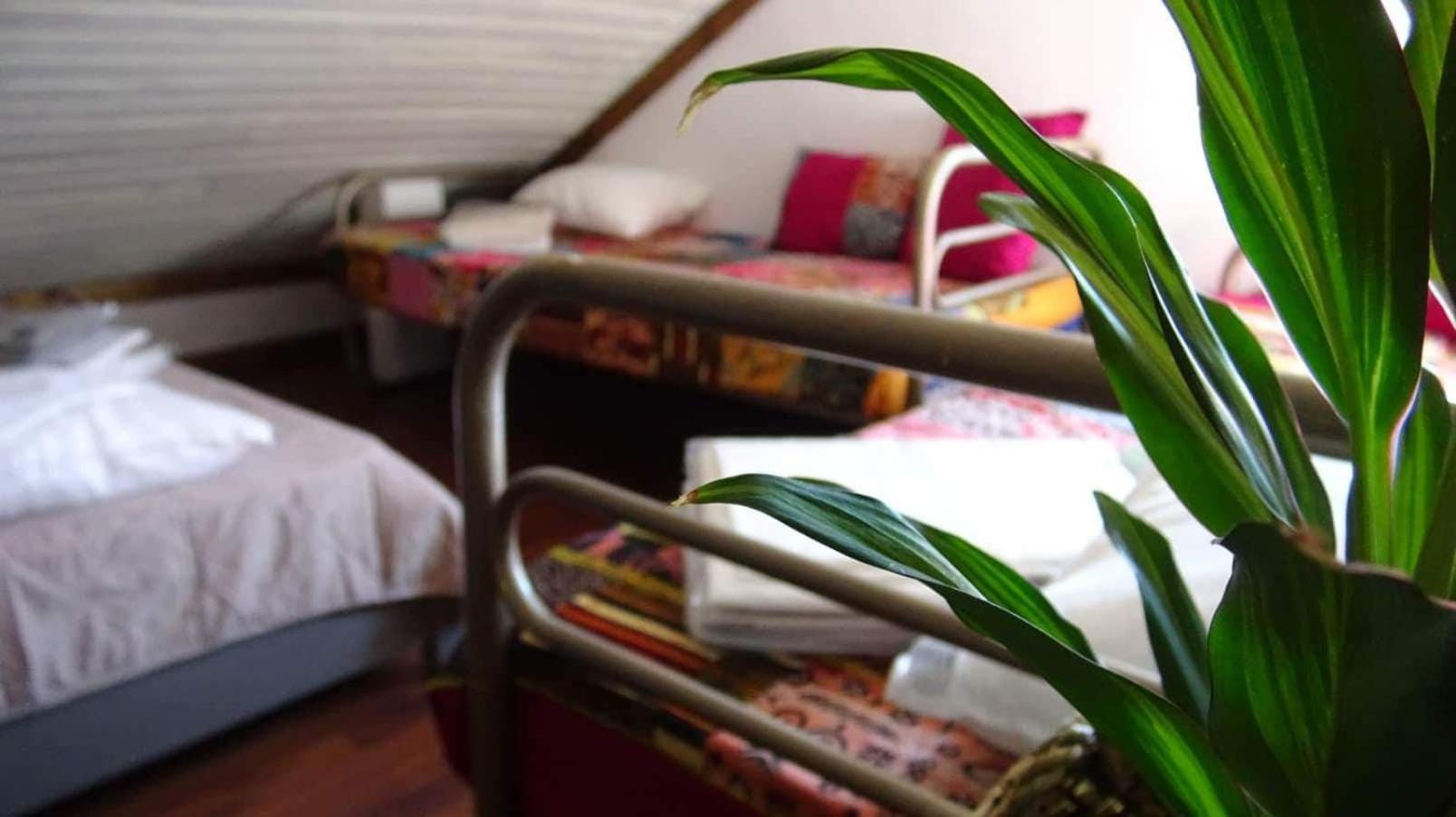 Lago Da Garca Guesthouse São Pedro do Sul Zewnętrze zdjęcie