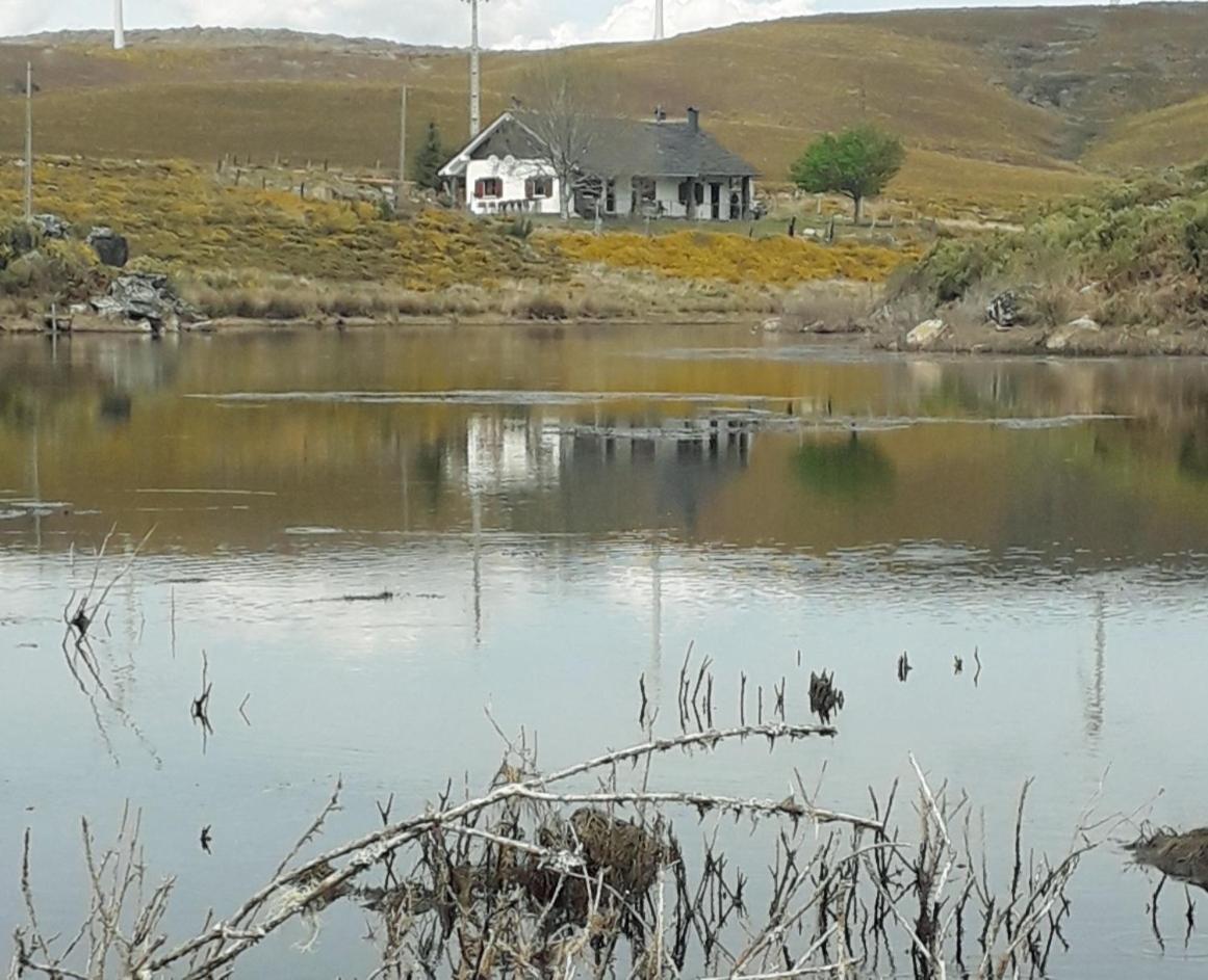 Lago Da Garca Guesthouse São Pedro do Sul Zewnętrze zdjęcie