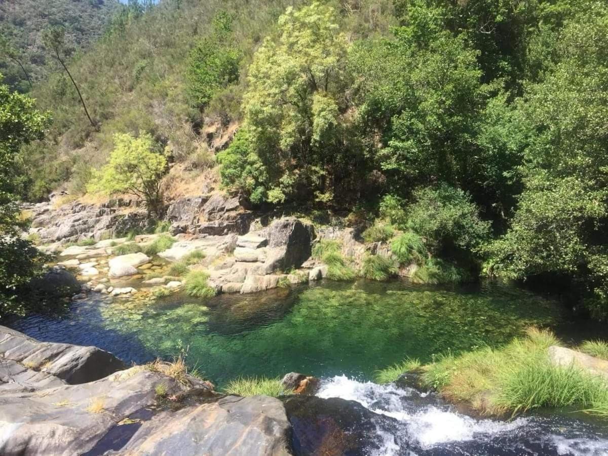 Lago Da Garca Guesthouse São Pedro do Sul Zewnętrze zdjęcie