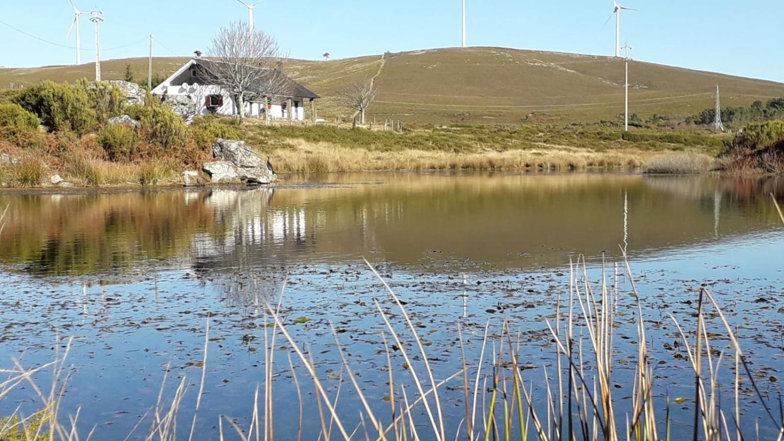 Lago Da Garca Guesthouse São Pedro do Sul Zewnętrze zdjęcie